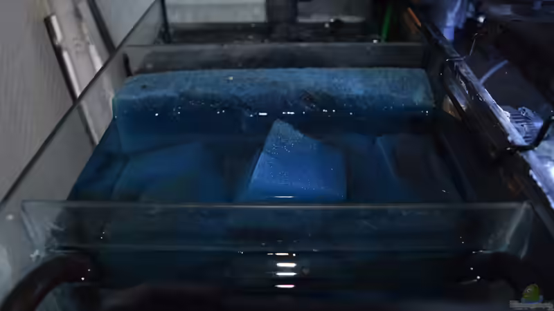 Mittlere Filterkammer mit Schaumstoff (ppi20) von Bowa (20)