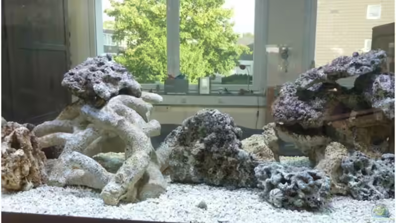 Mittlerer Bereich (Algenfrei) von OldFriend (11)