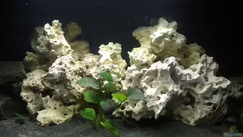 Mittlerer Bereich mit Lochgestein (schönere Bilder folgen) von Alexbj93 (3)