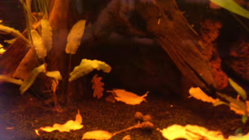 Mittlerer Bereich von Kai Heermann (12)