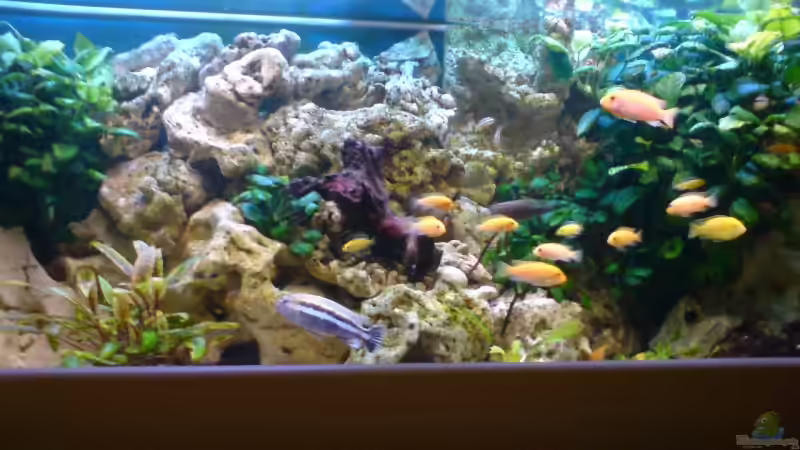 mittlerer Steinaufbau, altes Bild von Niko P. (10)