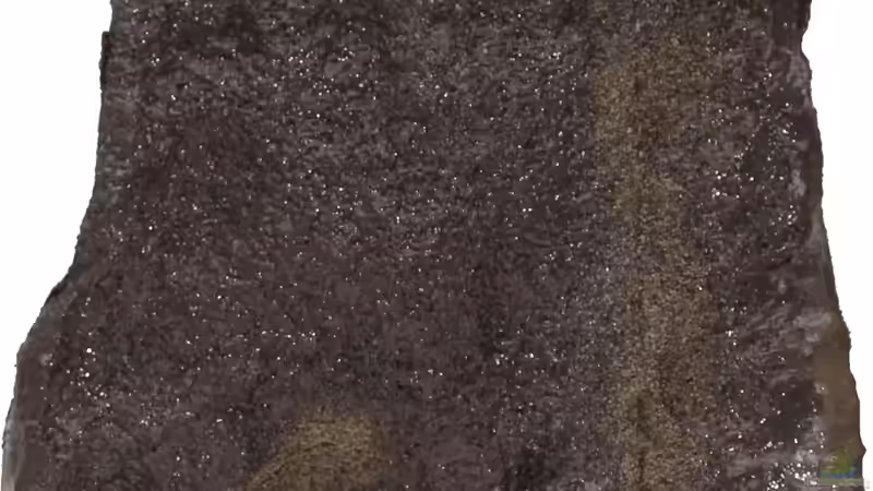 mittleres Modul - Rückansicht -  von AjakAndi (16)