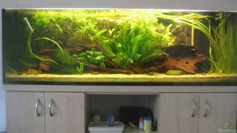 Mittlerweile schon sehr zugewachsen:) von Tiburón (16)