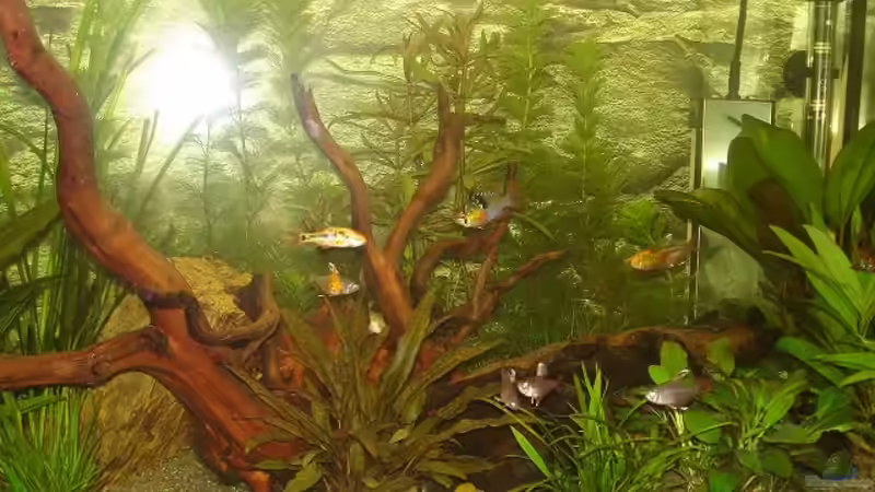 Mix von *Thorsten* (38)