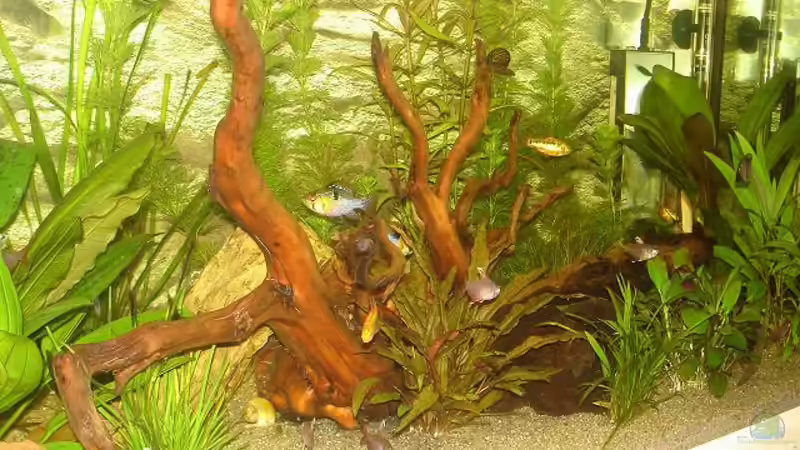 Mix von *Thorsten* (39)