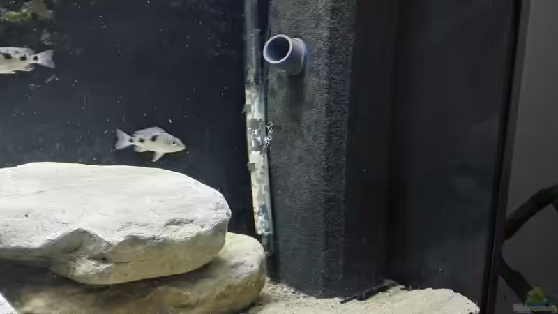 Mobiler HMF mit Strömungspumpe von Tom (5)