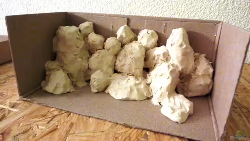 Modell der Rückwand von Philipp Müller (18)