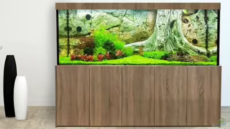 Modell Relax www.aquarienkontor.de ©T. Stenzel von DiskusMummy (12)