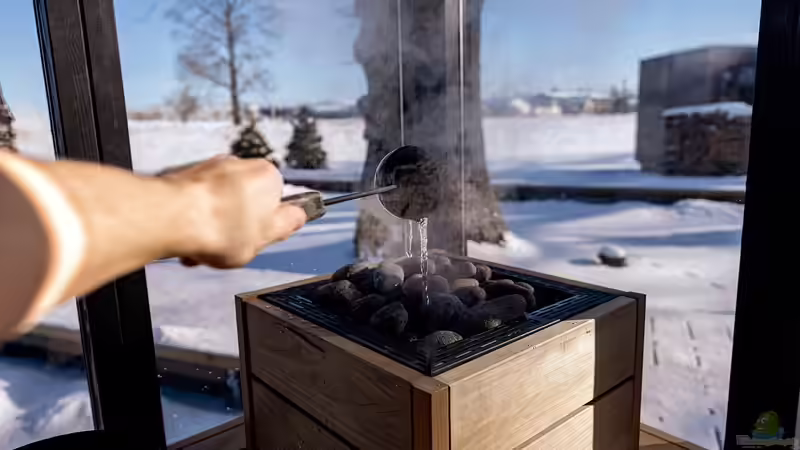 Moderne Außensauna mit Glasfront - So holst du dir skandinavisches Flair in den Garten