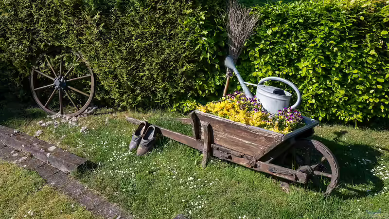 Moderne Gartengestaltung: Das sind die 5 goldenen Regeln