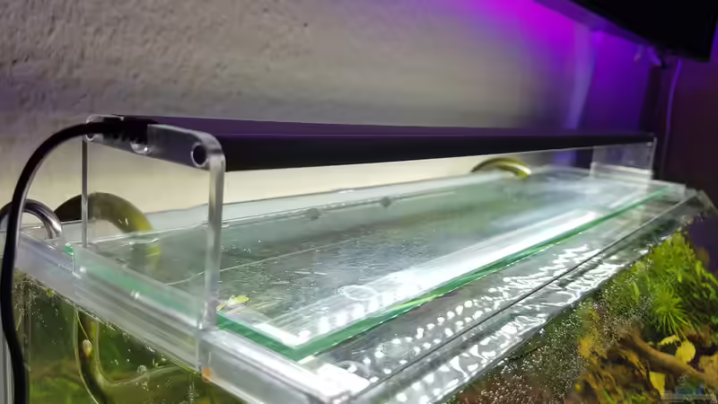 Moderne LED-Beleuchtung für Aquarien: Die beliebtesten Hersteller und Modelle