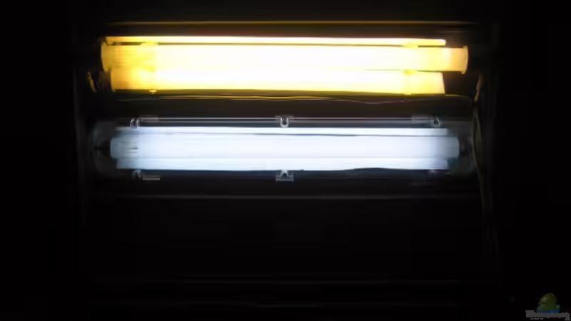 Modifizierung der Abdeckung von Silvia (13)