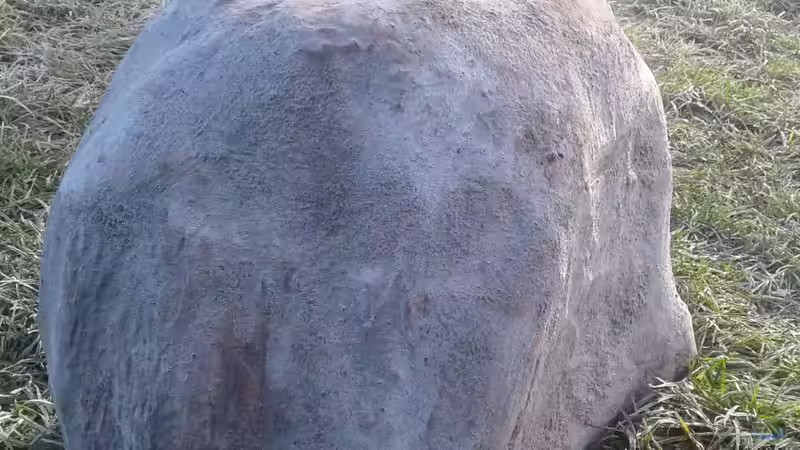 Modul fast fertig - noch colorieren und versiegeln von Tristan (6)