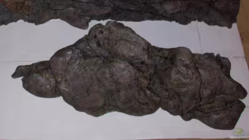 Modul H von Markus Walter (10)