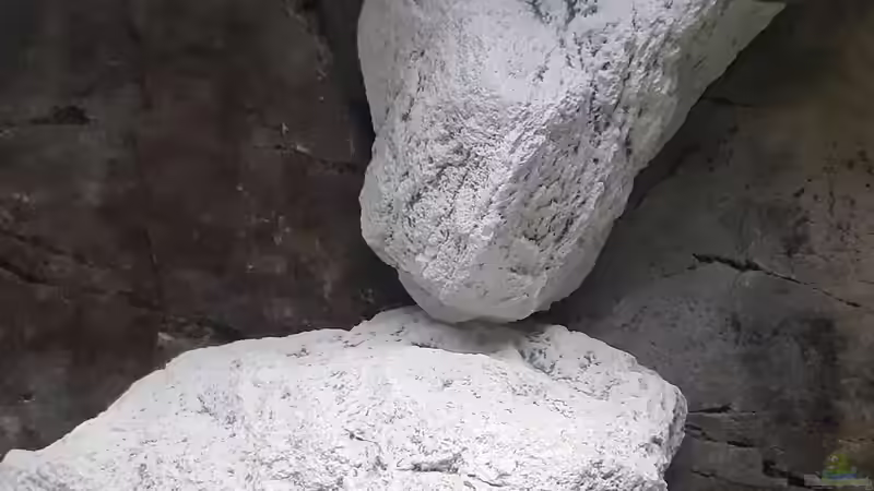 Modul M ist geteilt von A. Schmidt (12)