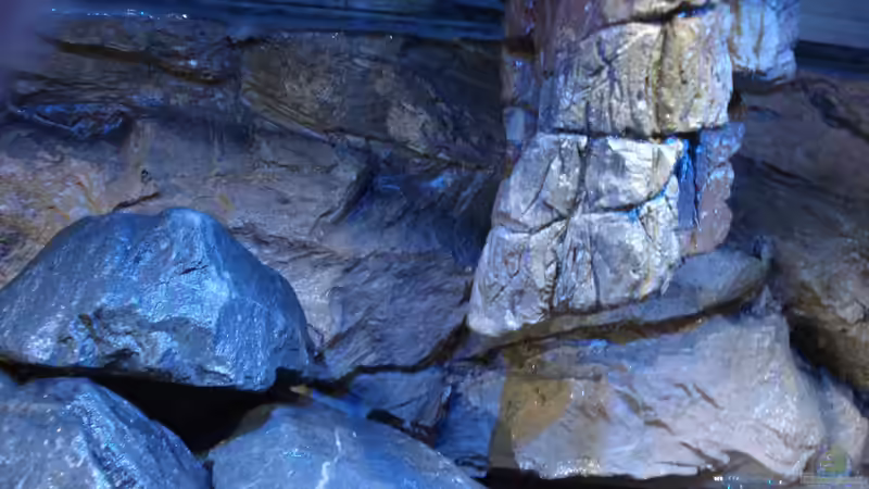 Modul SH-20 mit einen Eingang ragt von oben ins Becken von Sebastian O. (12)