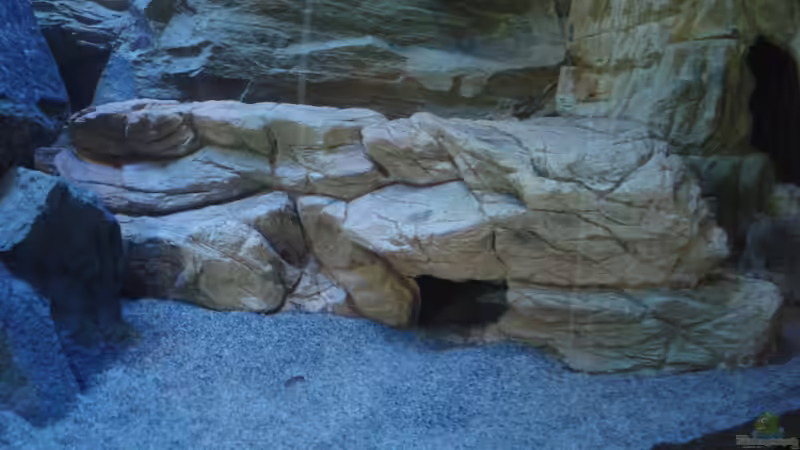 Modul SH-27 mit zwei Eingängen von Sebastian O. (11)