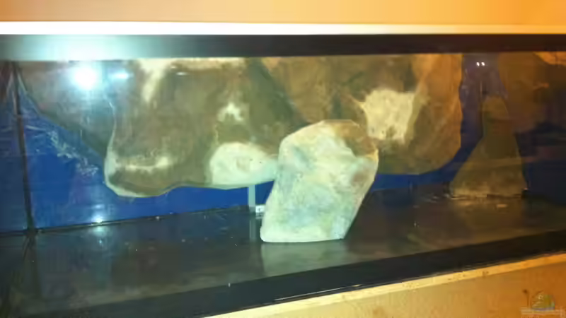 Modulbau von Andriko (34)