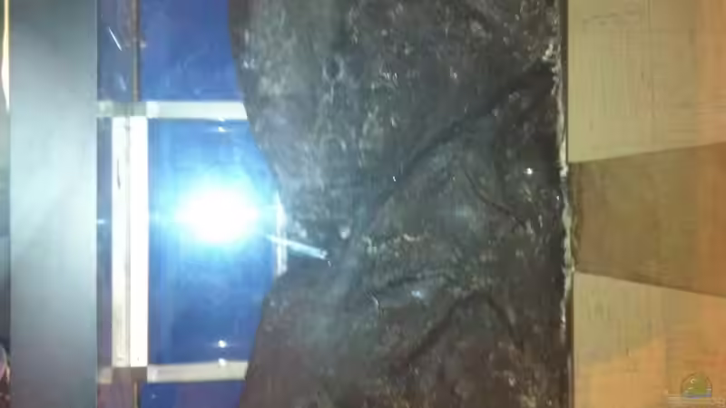 Modulbau von Andriko (35)