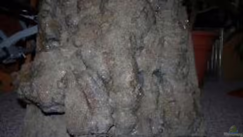 Modulbau von Volker Alms (16)