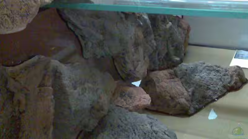 Module eingeklebt von Crenii (19)