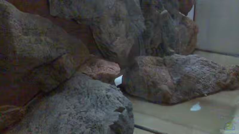 Module eingeklebt von Crenii (19)