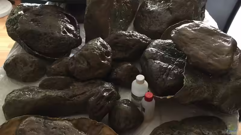 Module mit Epoxydharz bestrichen von TheToxicAvenger (16)