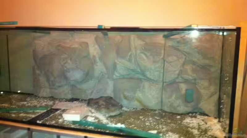 module sind fertig zementiert und werden erneut probe angepasst von Dynnarts (12)