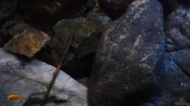 Module sind hier das Hauptaugenmerk von Florian Bandhauer (34)