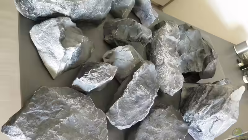 Module von Nina Hutter (16)