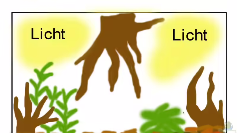 Möglichkeit 2 (Vorbereitung) von Benjamin Hamann (12)