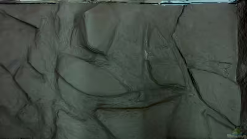 Mörtelarbeiten-03 von Baeltes (19)