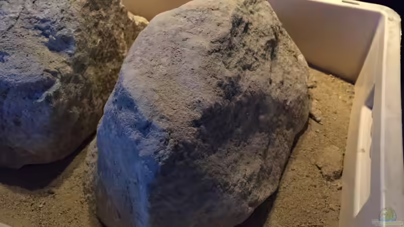 Molasse  von Marcel Ille (7)