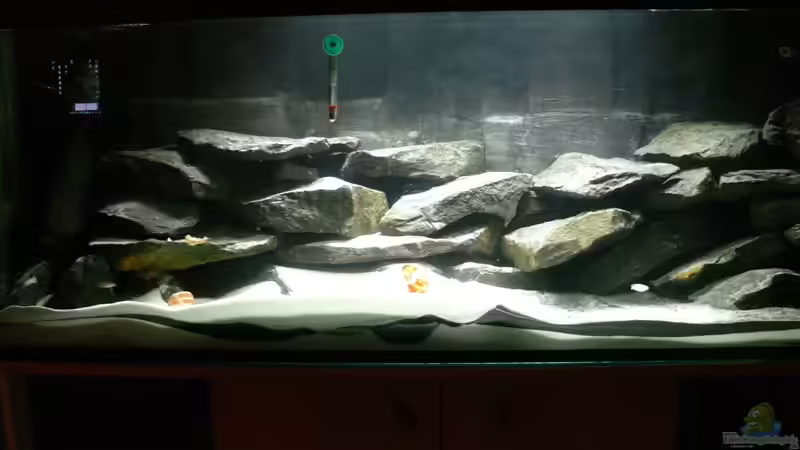 momentaner Besatzt 18.01.2013 von DominikZ (35)