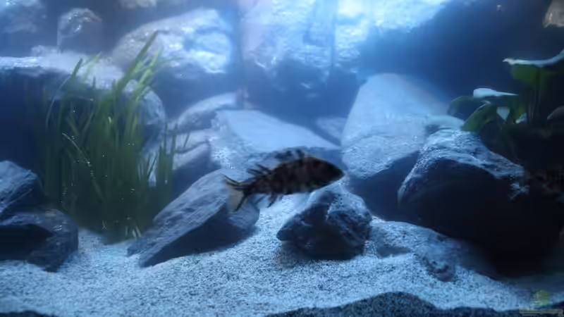 Momentaufnahme von Sunny73 (44)