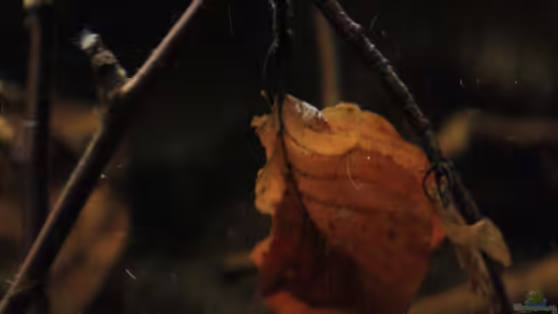 Momente von Florian Bandhauer (18)