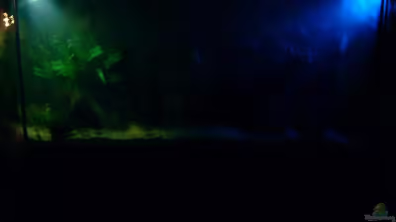 Mond und Gewitterlicht gleichzeitig von Thorsten Hoch (22)