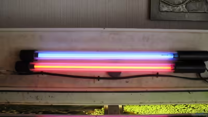 Mond-und-Sonnenlicht Kaltlichtkatode von Mathias Ebert (15)