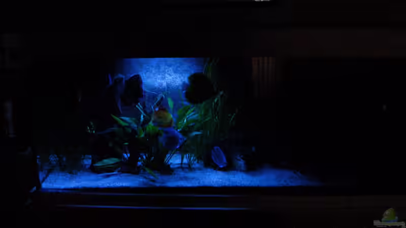 Mond von Klaus Kastl (23)