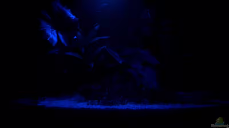 Mondbeleuchtung von Stefan Hartl (8)