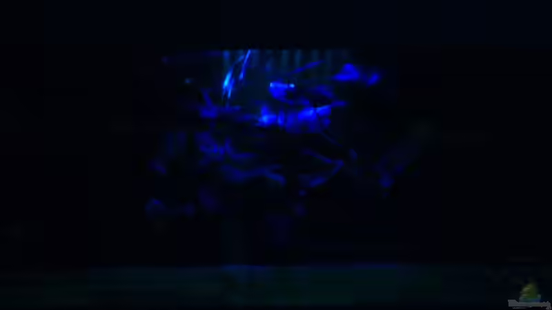 Mondlich von Christian Klein (3)