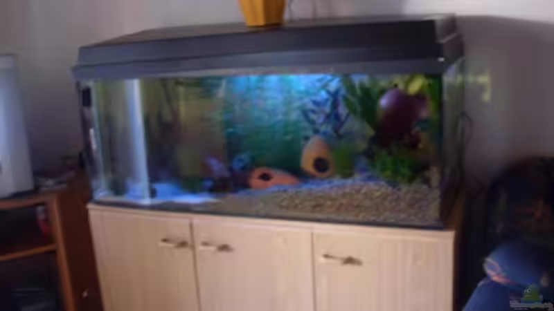 Mondlicht - Kaltlicht von lichterschein (16)