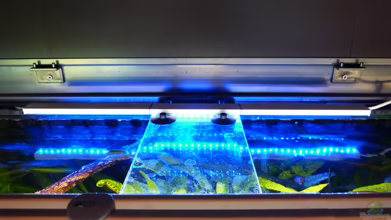 Mondlicht - LED Lichtleiste von Dieter (34)