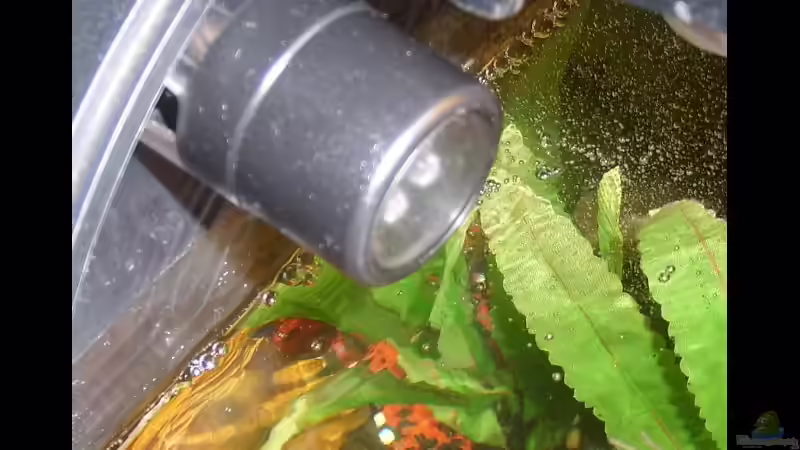 Mondlicht - LED links innen am Deckel von MMD (12)