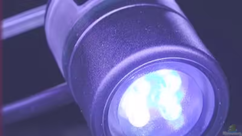 Mondlicht - LED von MMD (9)