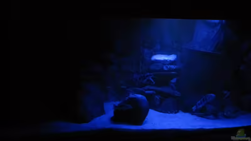 Mondlicht, 20% der Blauen-LED-Leiste an von Manfred Meyer (16)