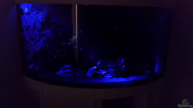 Mondlicht: Arcadia LED Spot USB (blau) von Jan Ebeling (6)