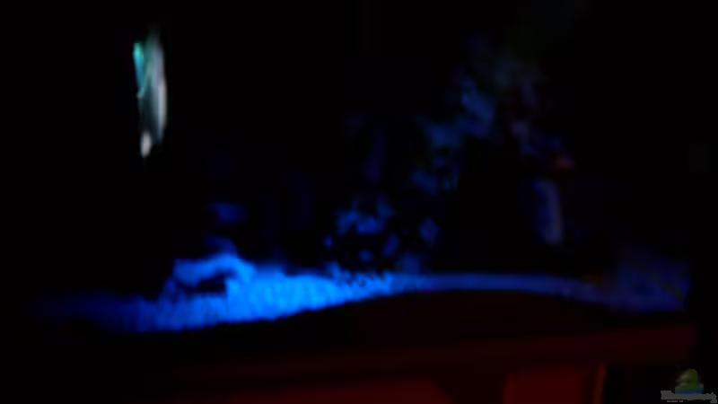 Mondlicht: LED-Blau  10% von Josef Knauer (5)