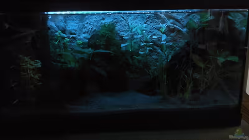 Mondlicht -LED eingebaut von Ulf (5)