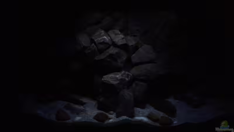 Mondlicht  von Rinsu (10)